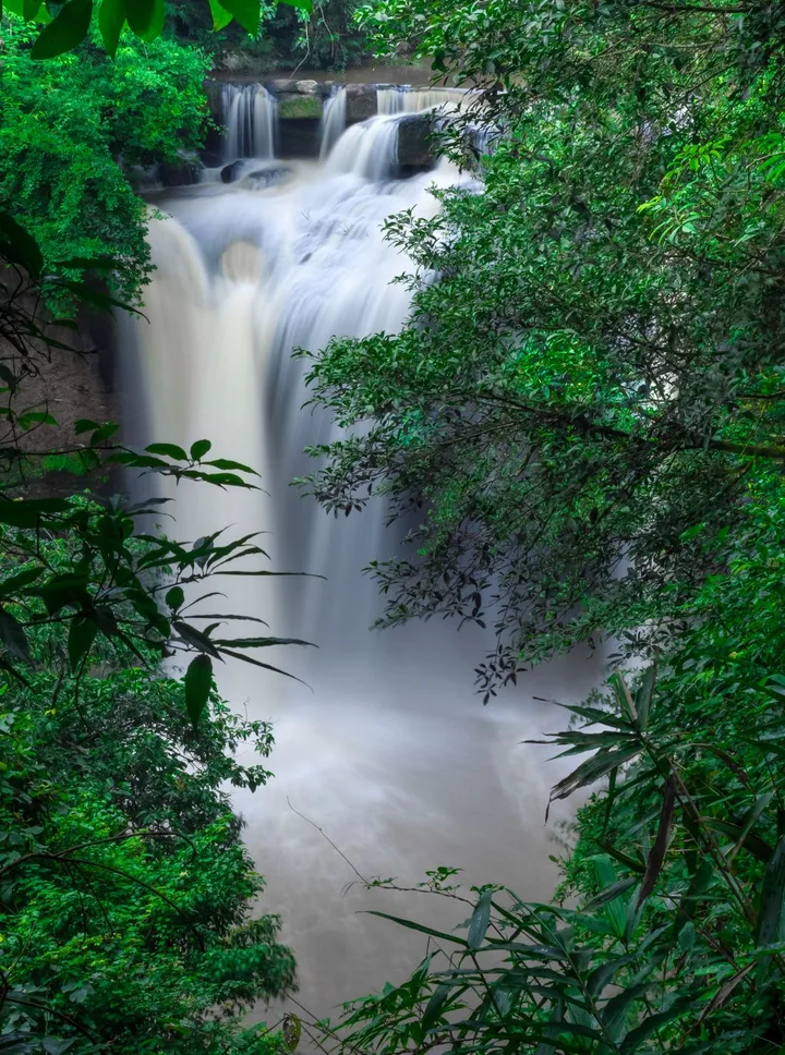 Khao Yai National Park Full Day Tour from Bangkok — photo 2
