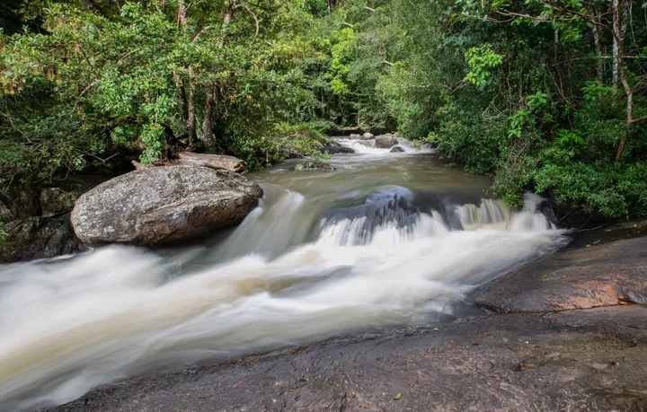 Khao Yai National Park Full Day Tour from Bangkok — photo 5