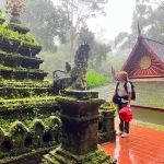 Gallery Thumbnail 17