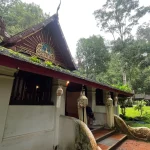 Gallery Thumbnail 9