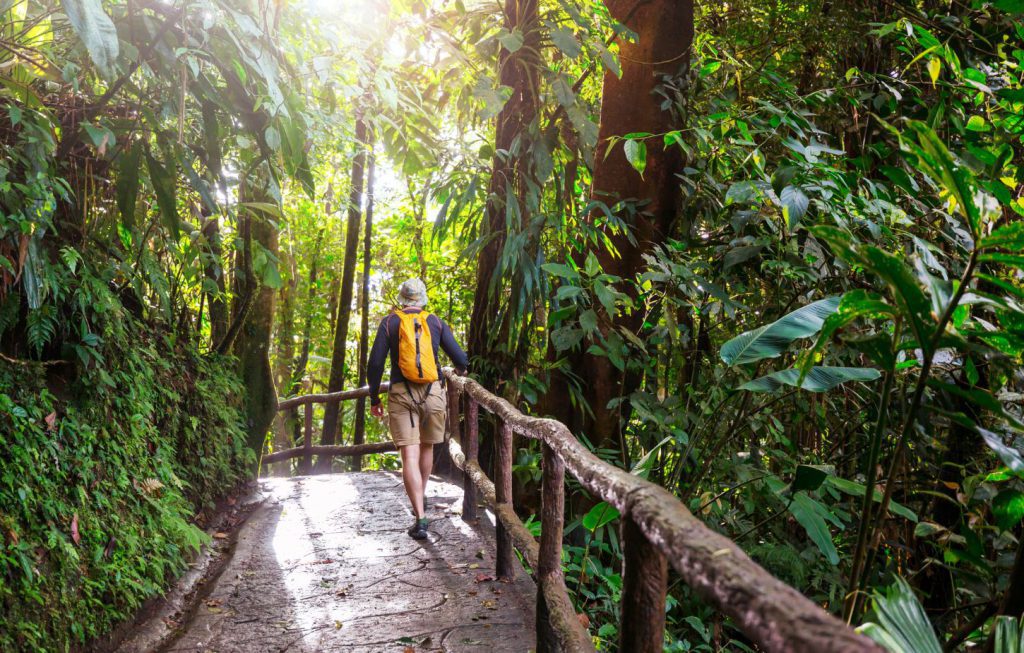 Khao Yai National Park Full Day Tour from Bangkok