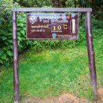Gallery Thumbnail 4