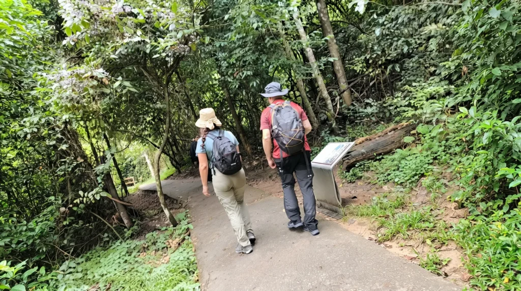 Khao Yai National Park Full Day Tour from Bangkok