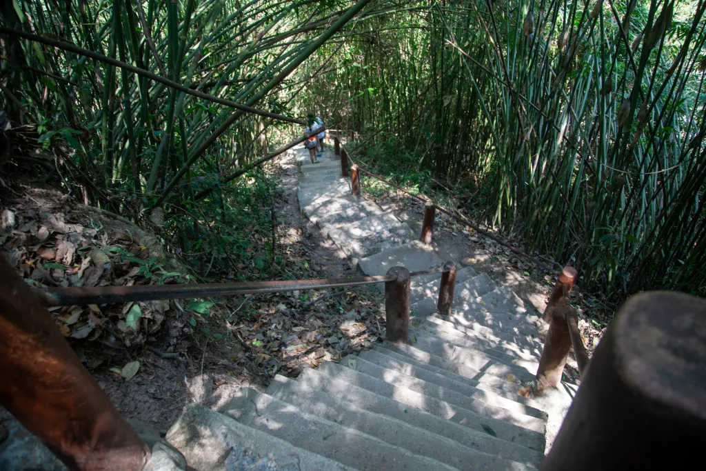 Jungle Trekking Trail