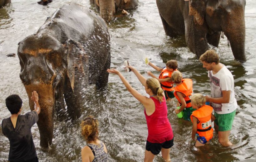 Elephants Care & River Kwai boat trip - From Bangkok