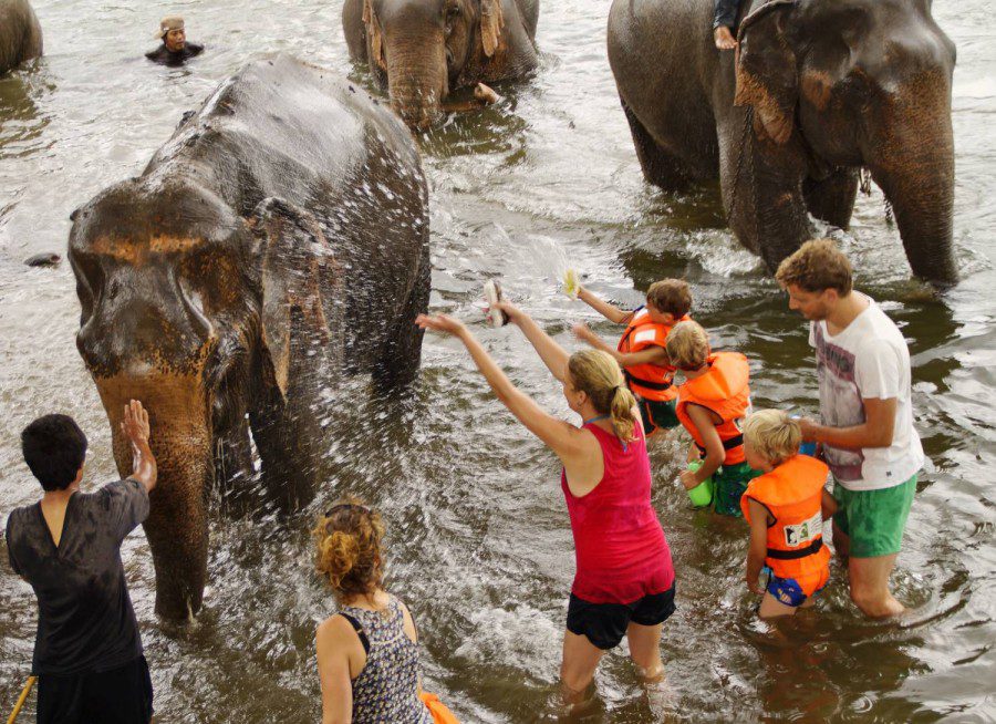 Elephant Care & River Kwai – Private Tour from Bangkok