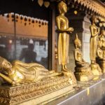 Gallery Thumbnail 11