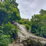 Gallery Thumbnail 23