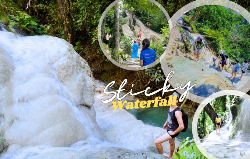 Chiang Mai Adventure: Bua Thong Sticky Waterfalls