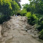 Gallery Thumbnail 6