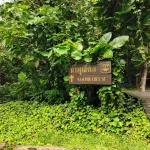 Gallery Thumbnail 21