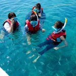 Gallery Thumbnail 9