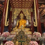 Gallery Thumbnail 14