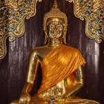 Gallery Thumbnail 11