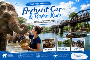 From Bangkok: Elephant Care Experience & River Kwai Day Trip