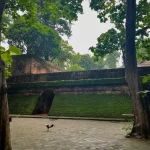 Gallery Thumbnail 8