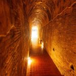 Gallery Thumbnail 14