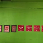 Gallery Thumbnail 21