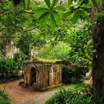 Gallery Thumbnail 4