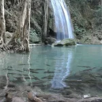 Gallery Thumbnail 5