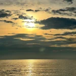 Gallery Thumbnail 6