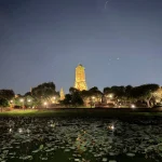 Gallery Thumbnail 2